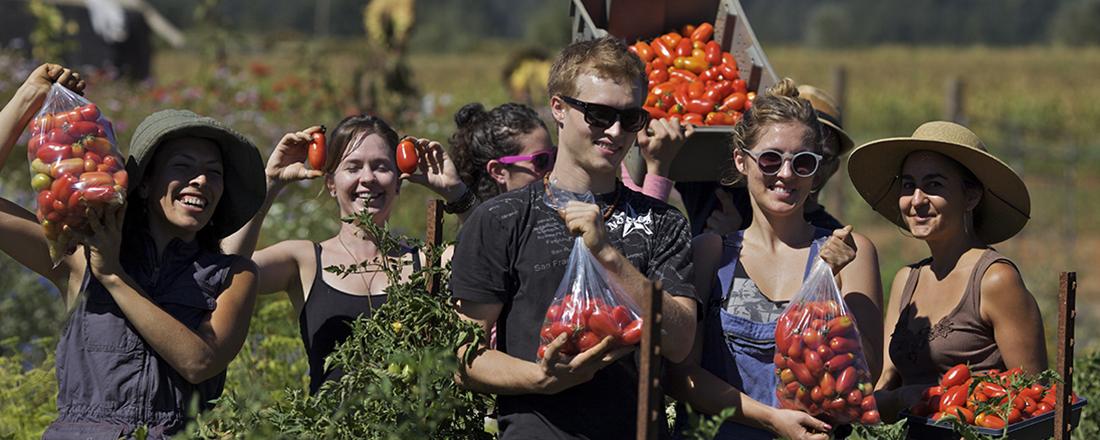 Students with bags of tomatoes