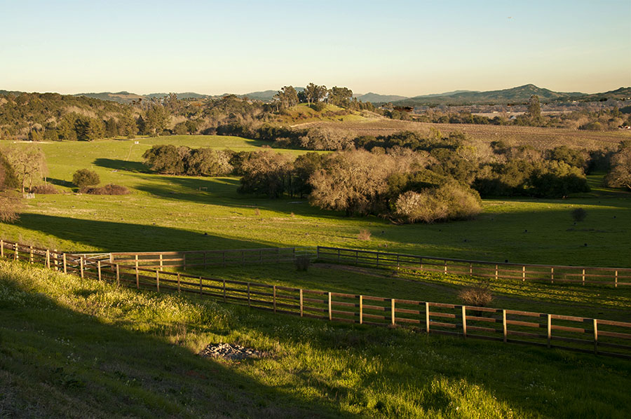 View of pasture