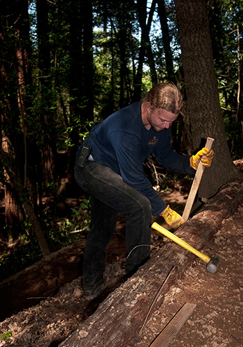 Student working in the forest