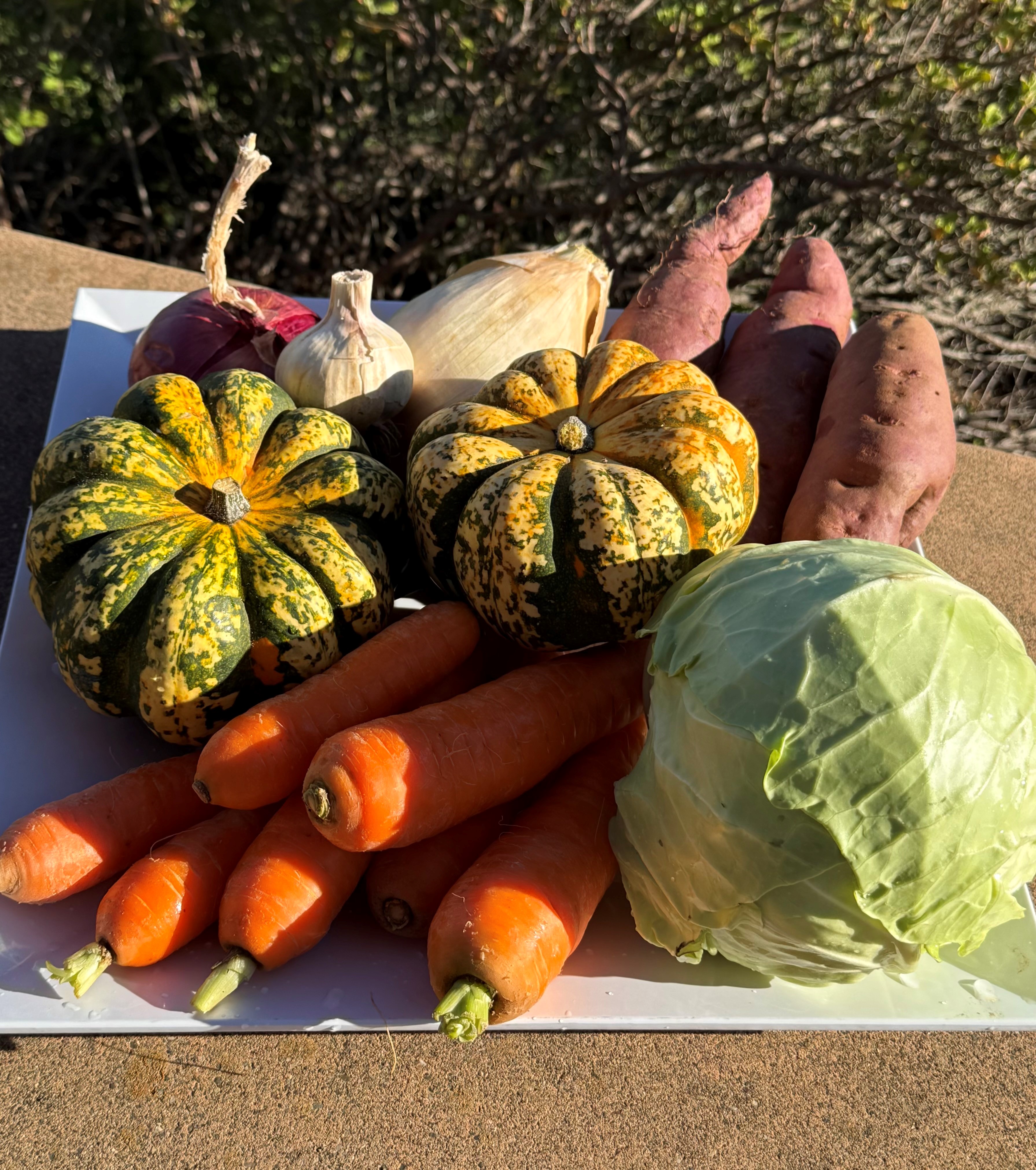Autumn CSA Box