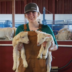 Girl holding two lambs