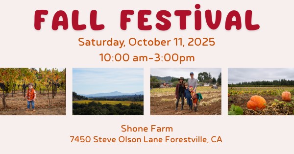 Fall festival