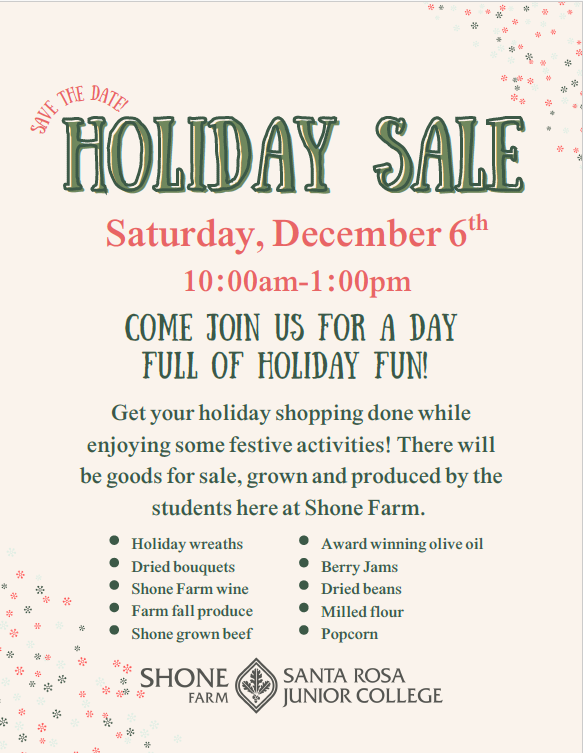 Holiday sale flyer