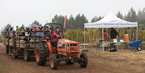 Shone Farm Fall Festival