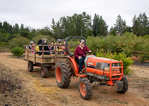 Hay Rides