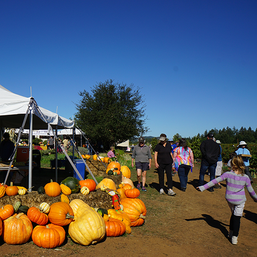 Fall Festival with pumpkins