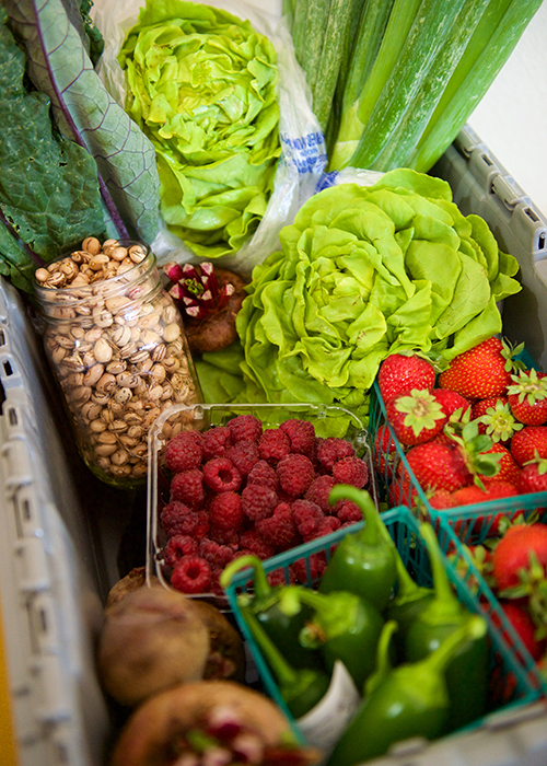 CSA Bin