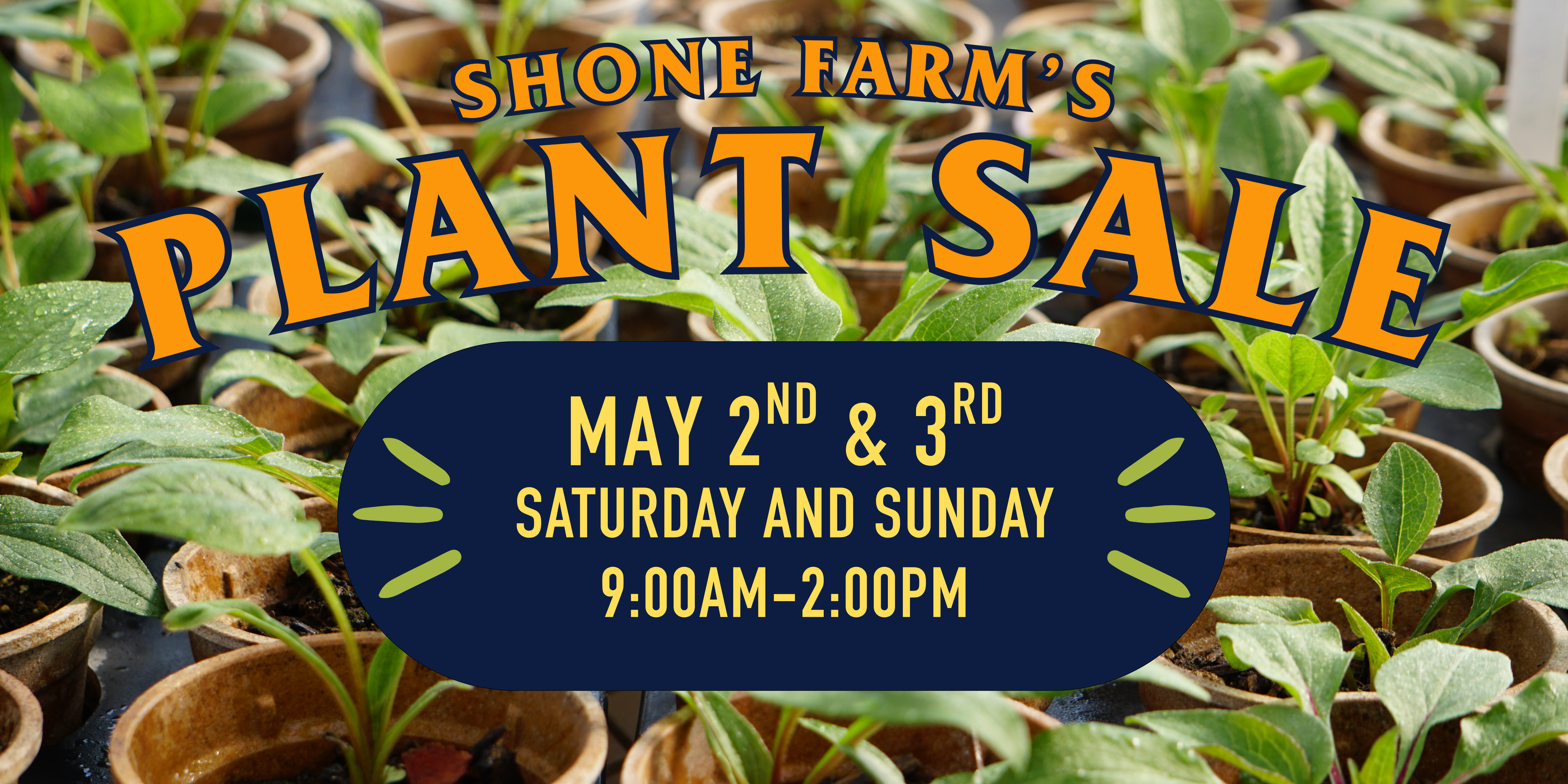 Plant sale banner
