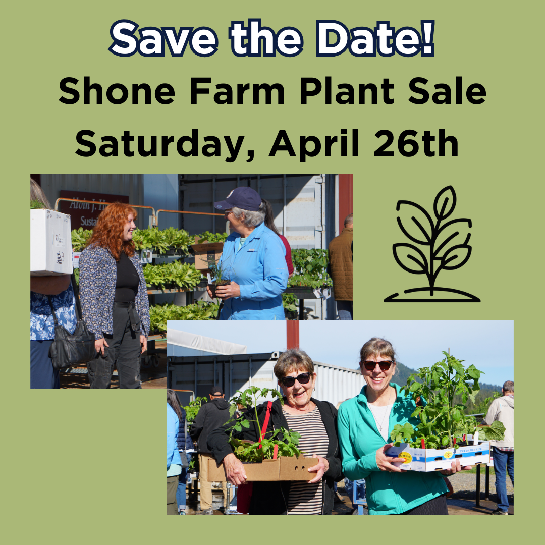 Shone Farm Plant Sale