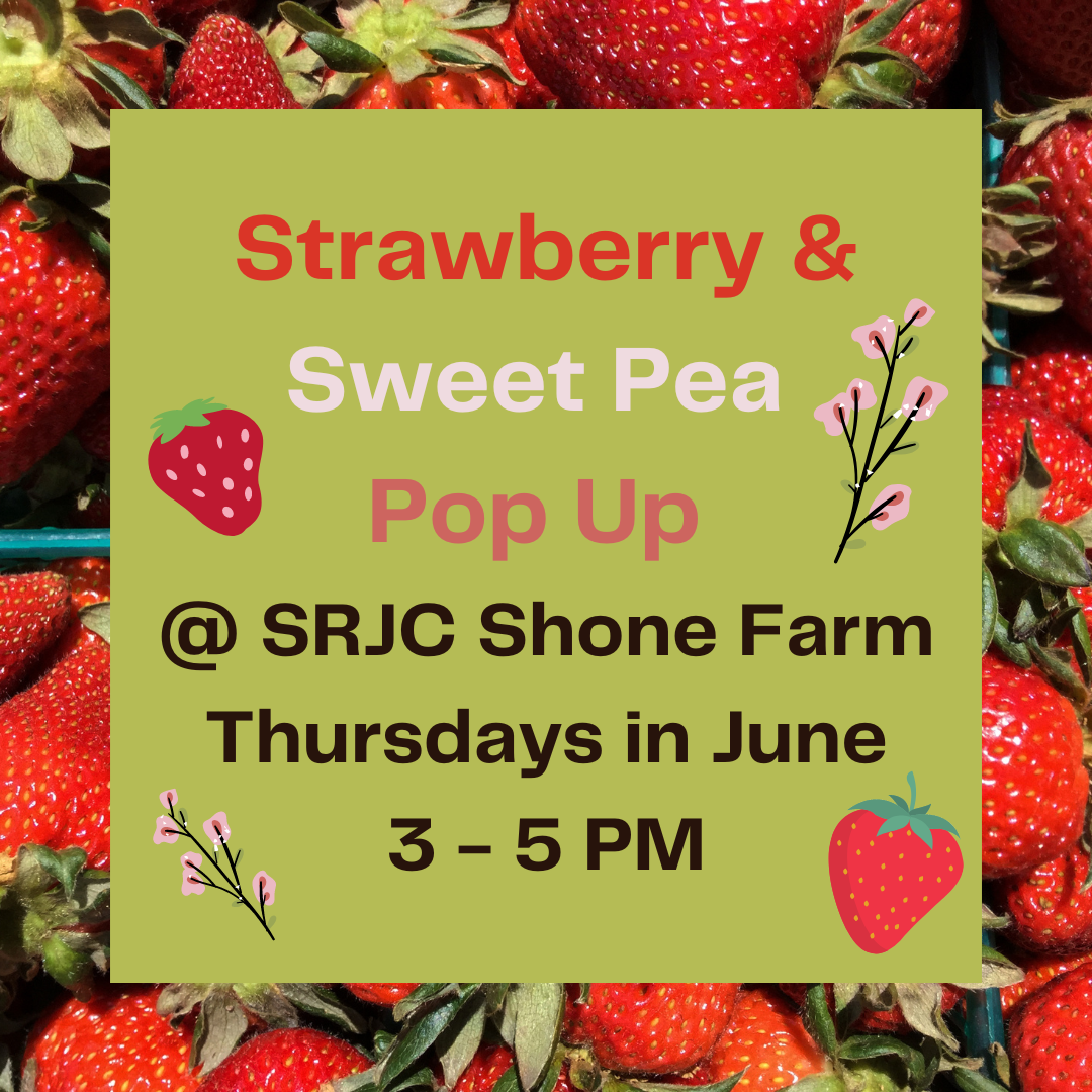 Strawberries and sweetpeas