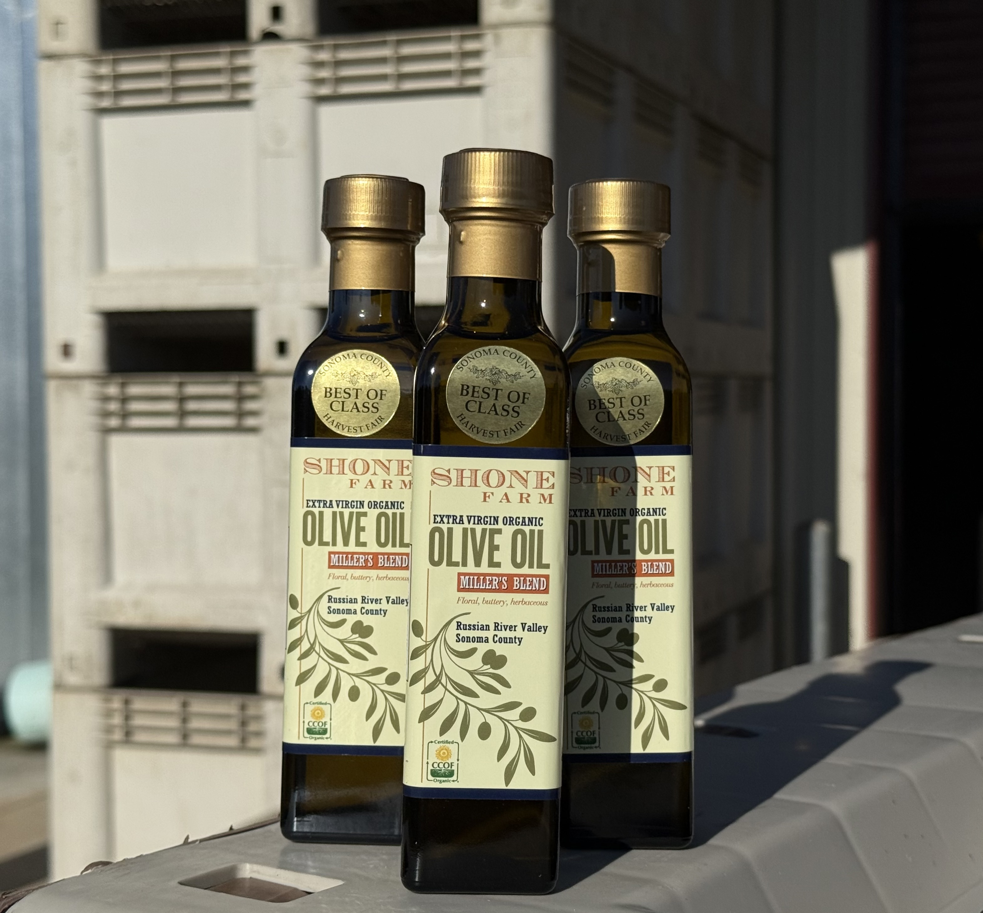 Shone Farm Olive Oil