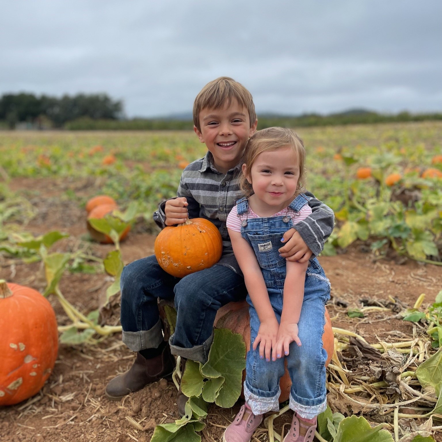 kids pumpkin patch