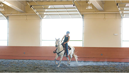 Person riding a horse in the arena