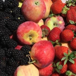 blackberries, apples, and strawberries