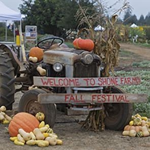 Welcome to Shone Farm Fall Festival Sign